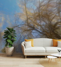 Ethereal and serene canopy view.

