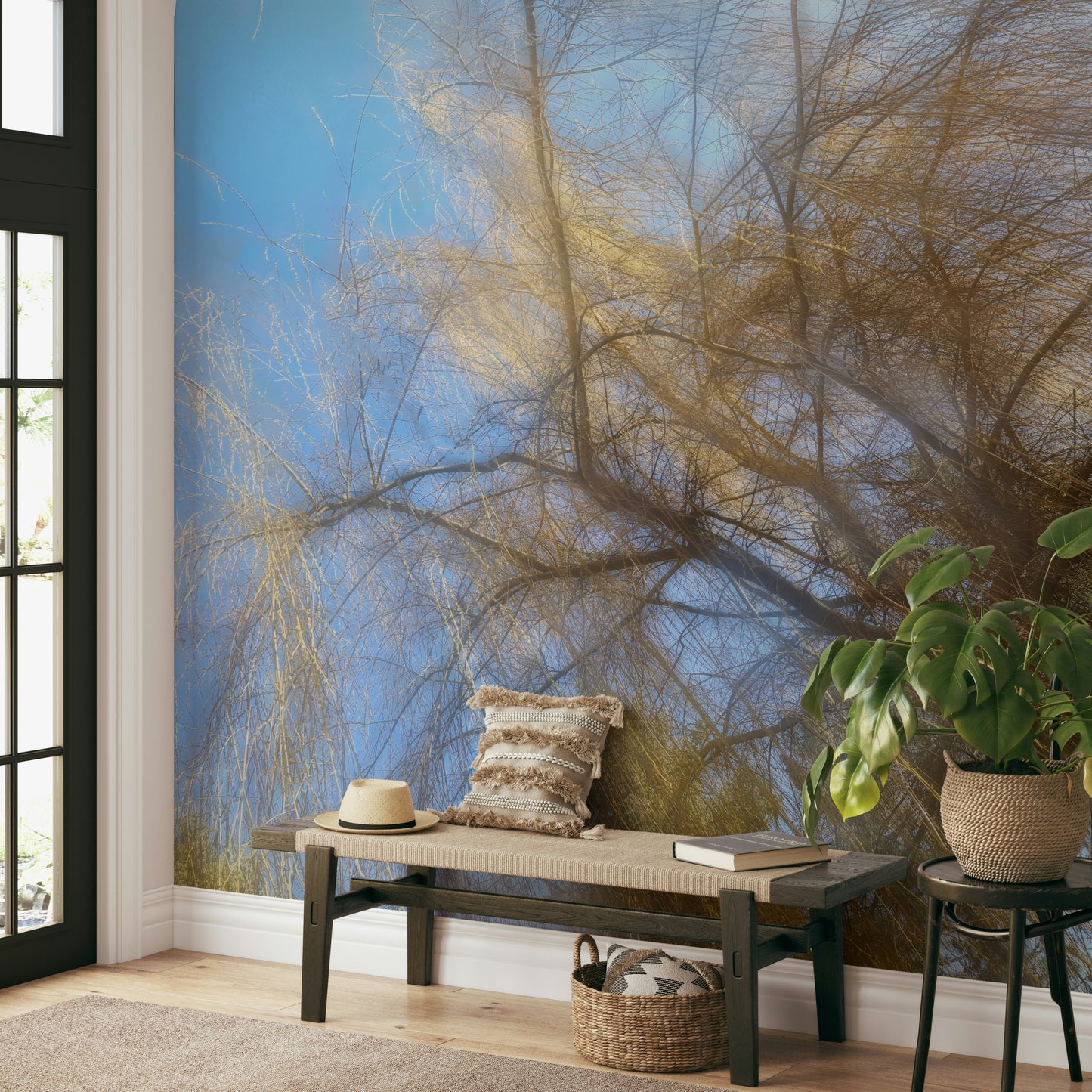 Abstract nature photography looking upwards.

