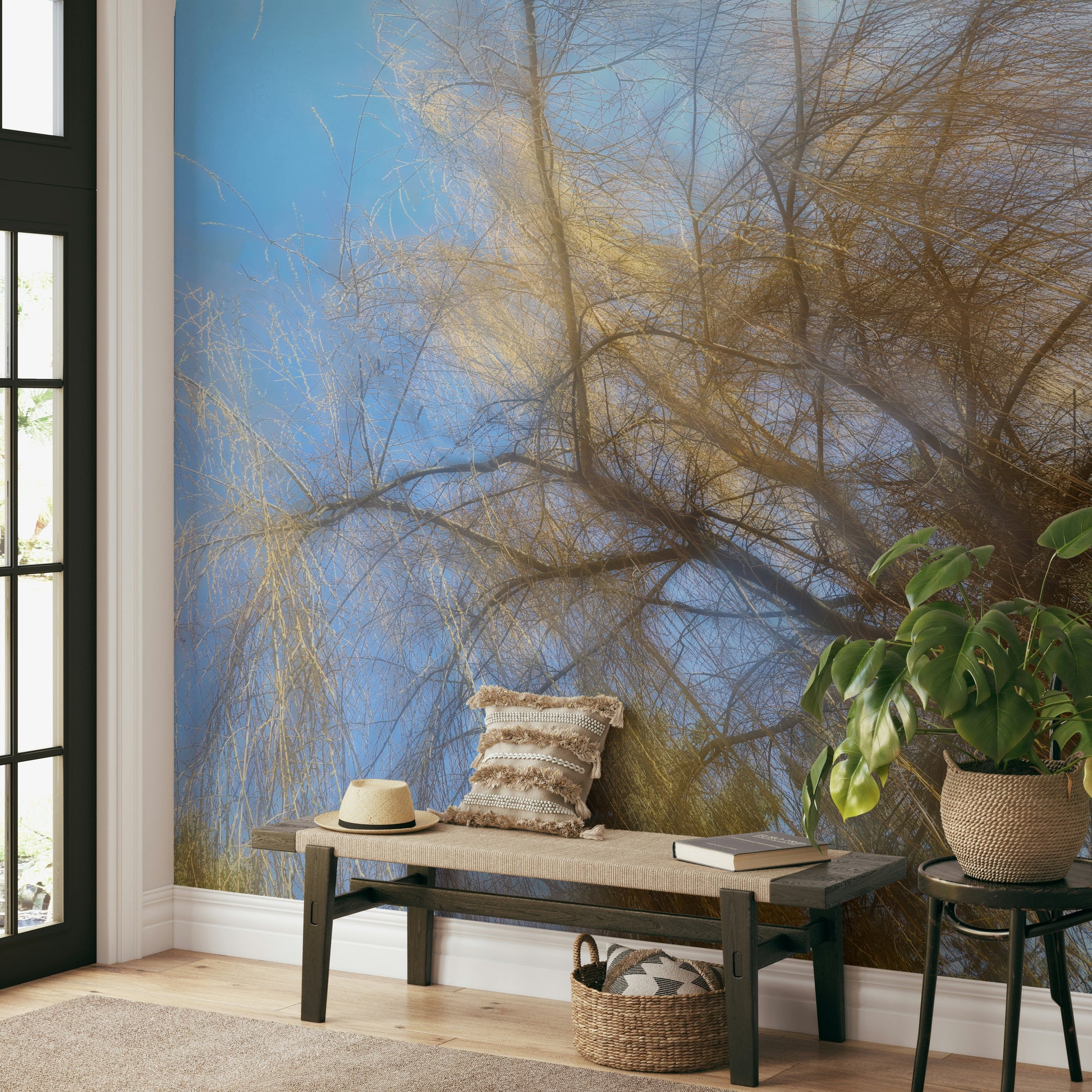 Abstract nature photography looking upwards.

