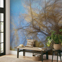 Abstract nature photography looking upwards.

