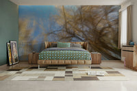 Sense of calm and peaceful contemplation.

