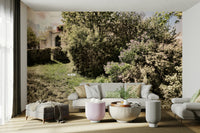 Lush green foliage bordering a path.

