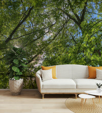 Dappled light and shadow patterns.

