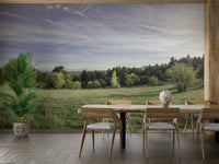 Lush green fields and distant trees.

