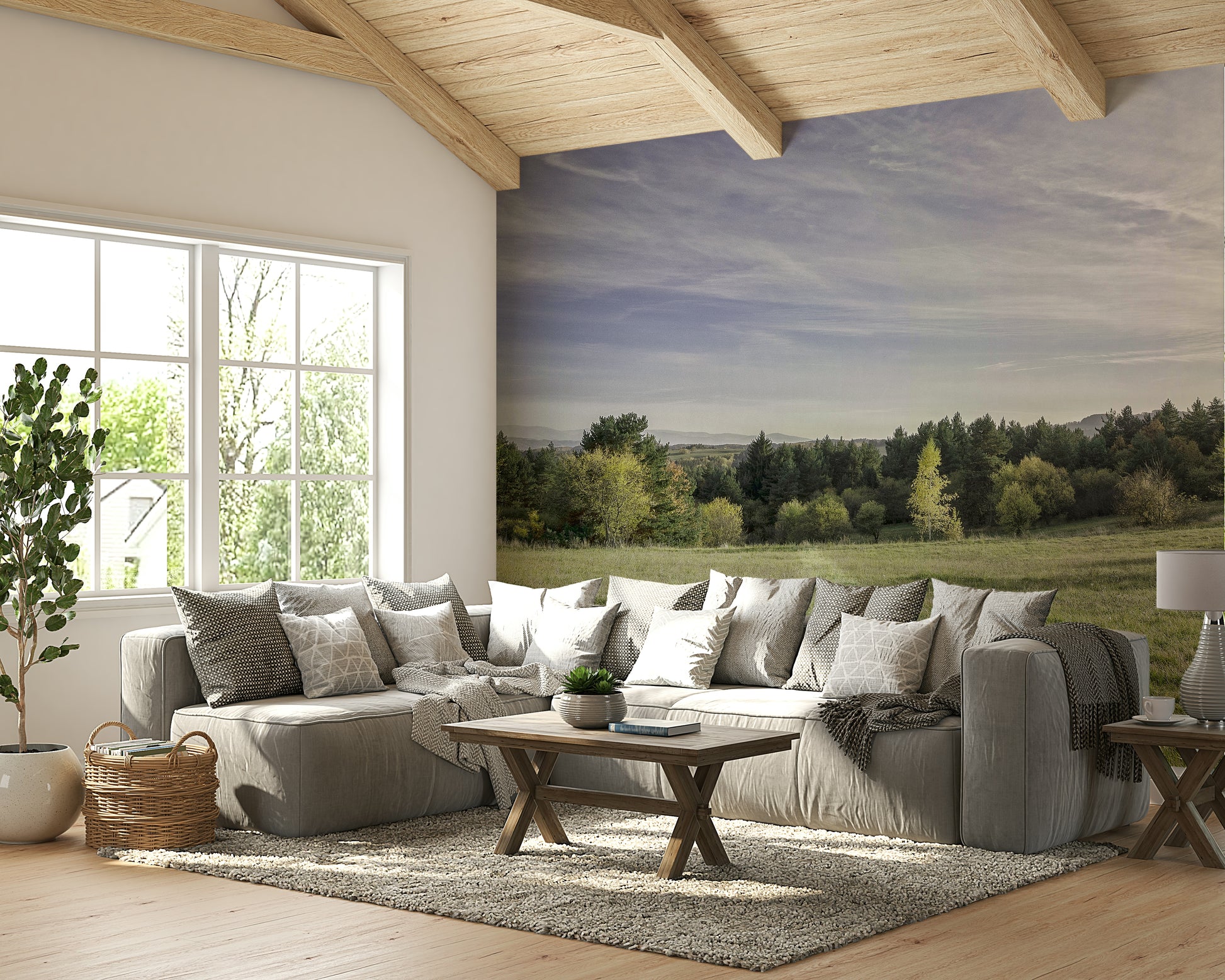 Clear details of grass and tree foliage.

