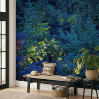 Mystical forest scene at night.

