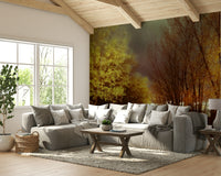 Clear reflections of trees and sky.

