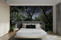 Detailed textures of leaves and tree bark.

