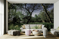 Lush green forest landscape.

