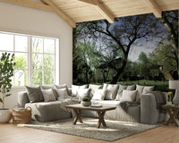 Serene nature photography.

