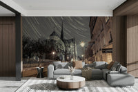 Paris street scene with cathedral.

