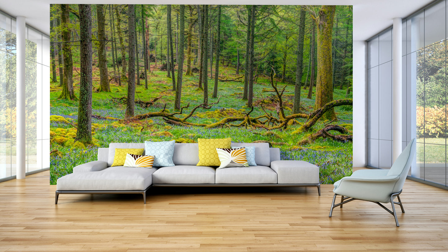 Lush trees on a wall mural.

