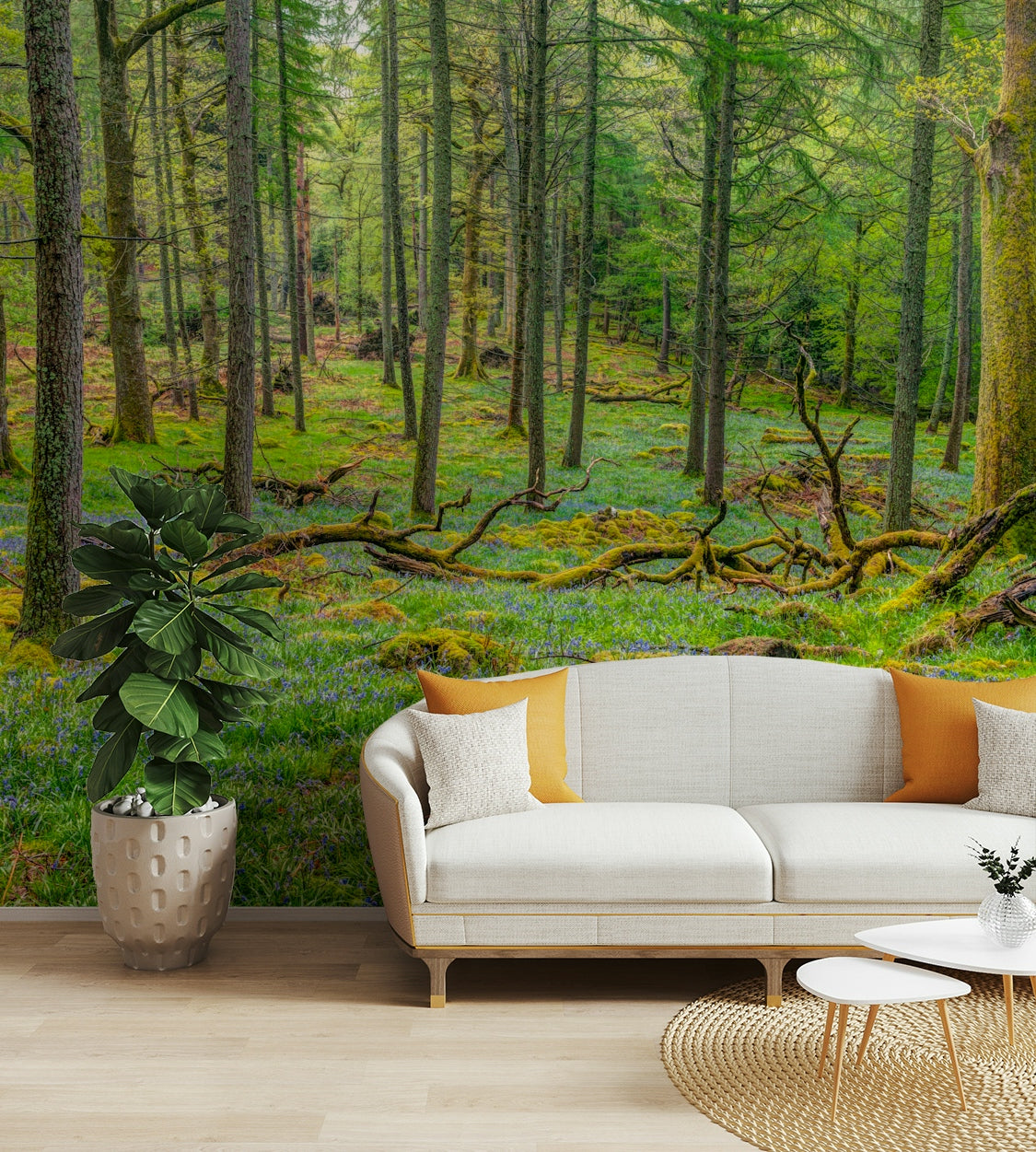 Detailed close-up of tree bark.

