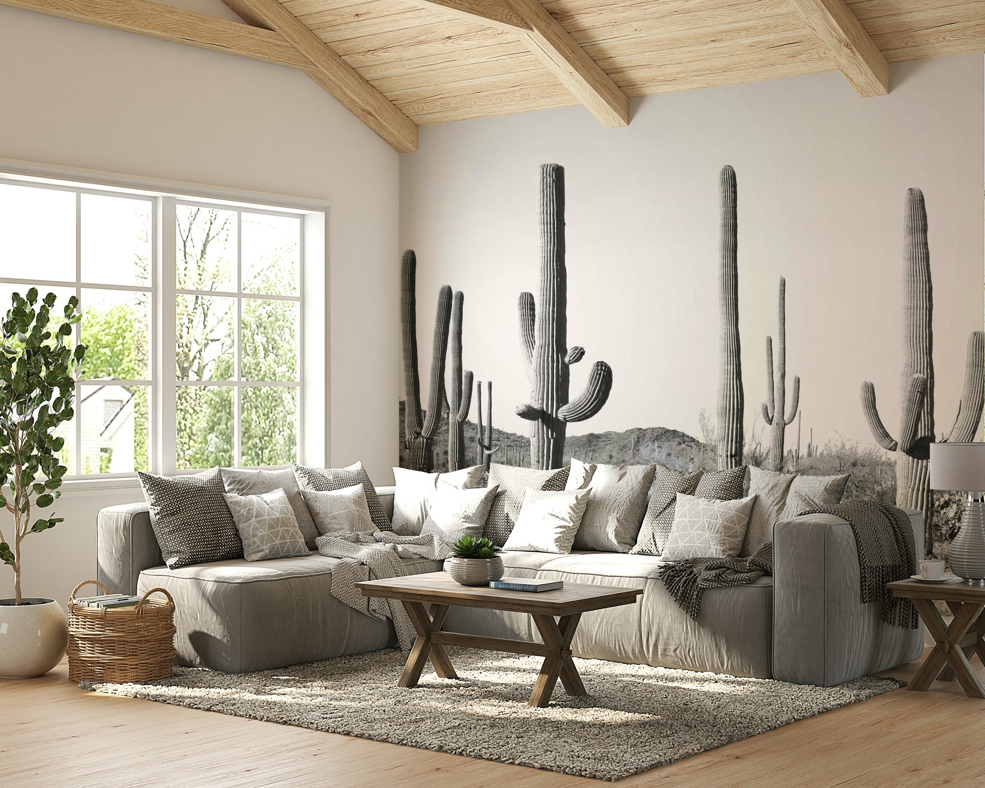 Unique desert flora and natural textures.

