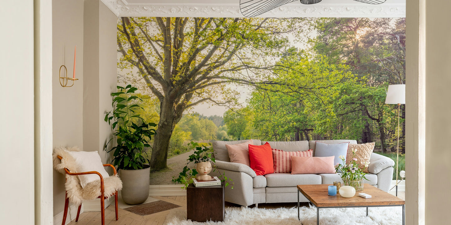 Serene canal scene in spring.

