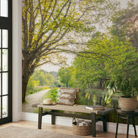 Calm water reflecting the clear sky.

