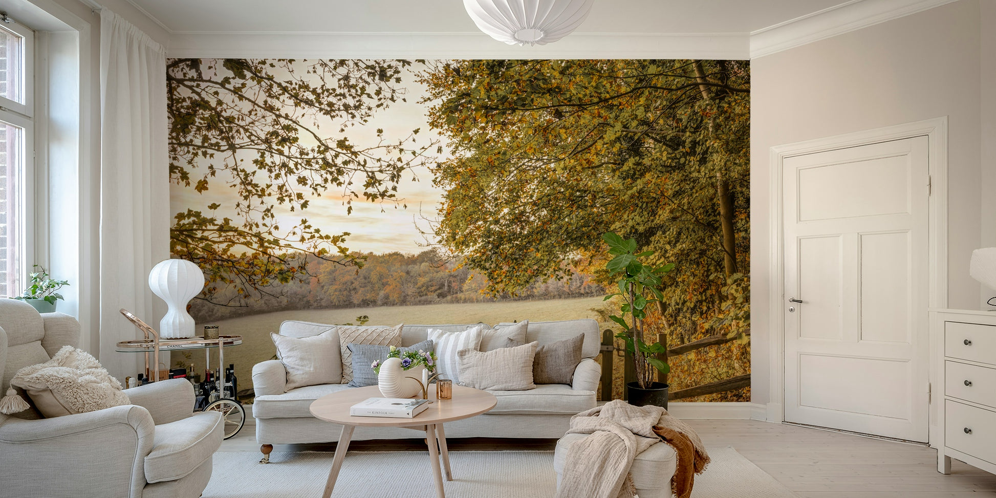 Focus on color transitions and natural forms.

