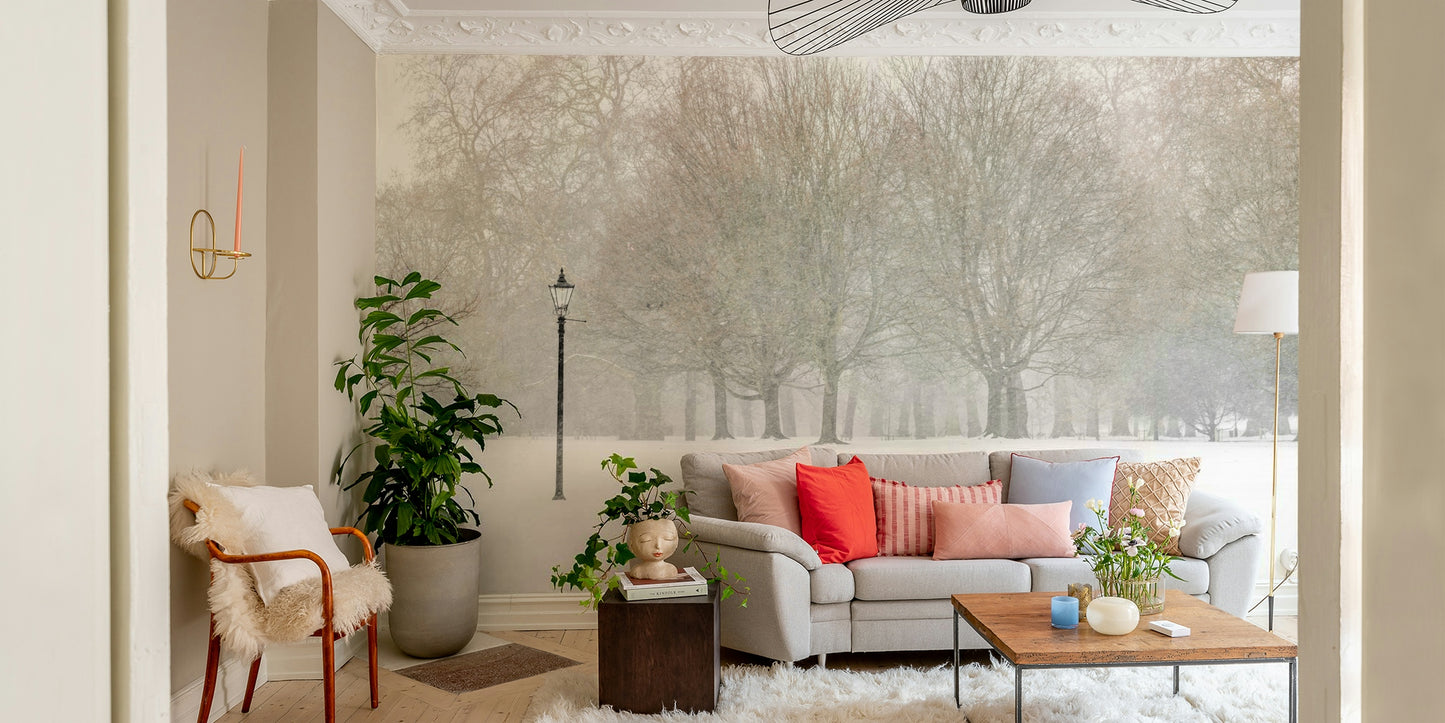 Bare trees in a winter landscape.

