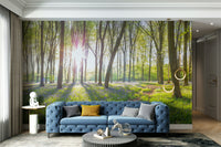 Sense of profound peace and natural wonder.

