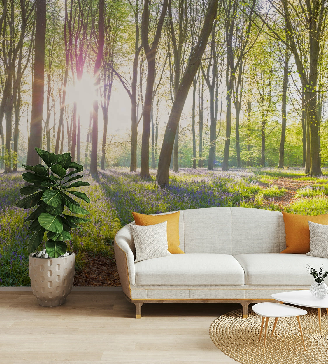 High-resolution image of a forest.

