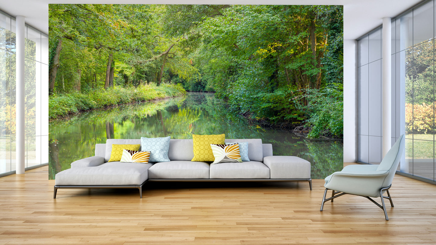 Vibrant underwater clarity