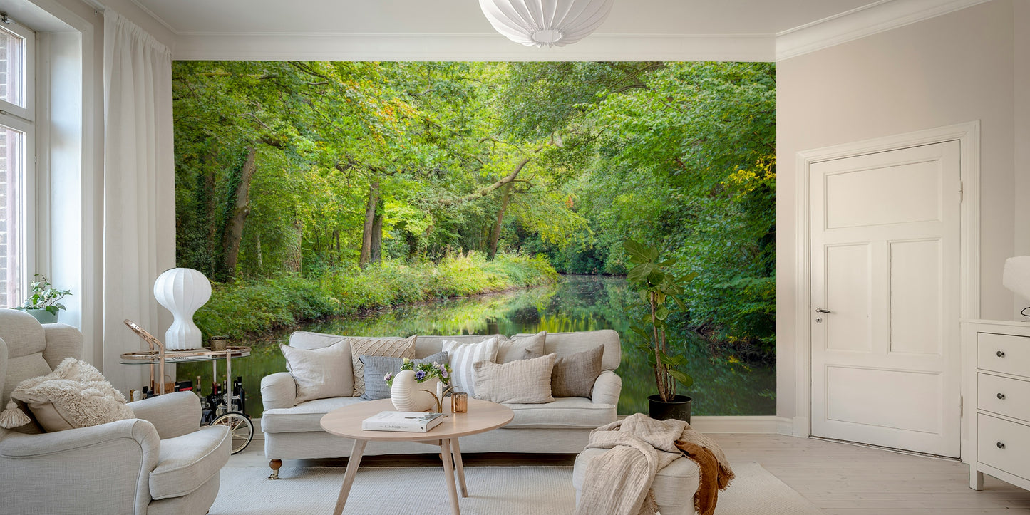 Tranquil coastlines or natural surroundings.

