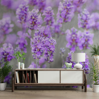 High-resolution image of a lavender farm.

