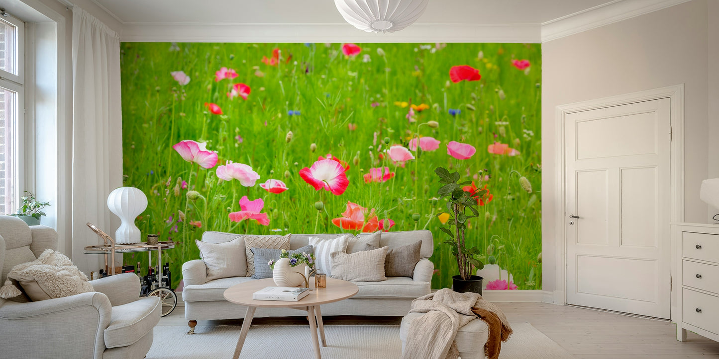 Vibrant and lively charm.

