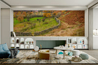 Peaceful expansive landscape.

