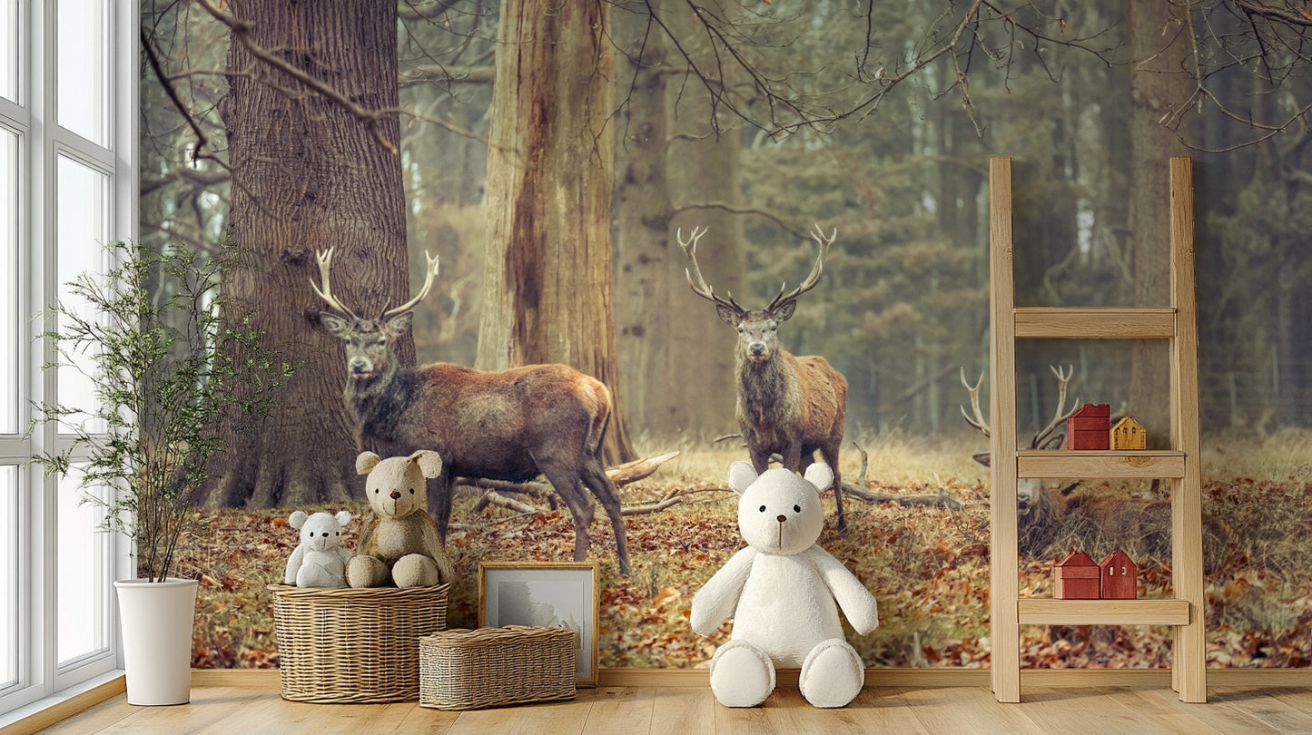 High-resolution image of stags.

