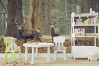 Ideal for a living room, study, or cabin.

