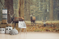 Muted, natural tones.

