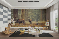 Dappled light on the forest floor.

