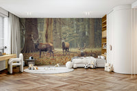 Serene woodland scene.

