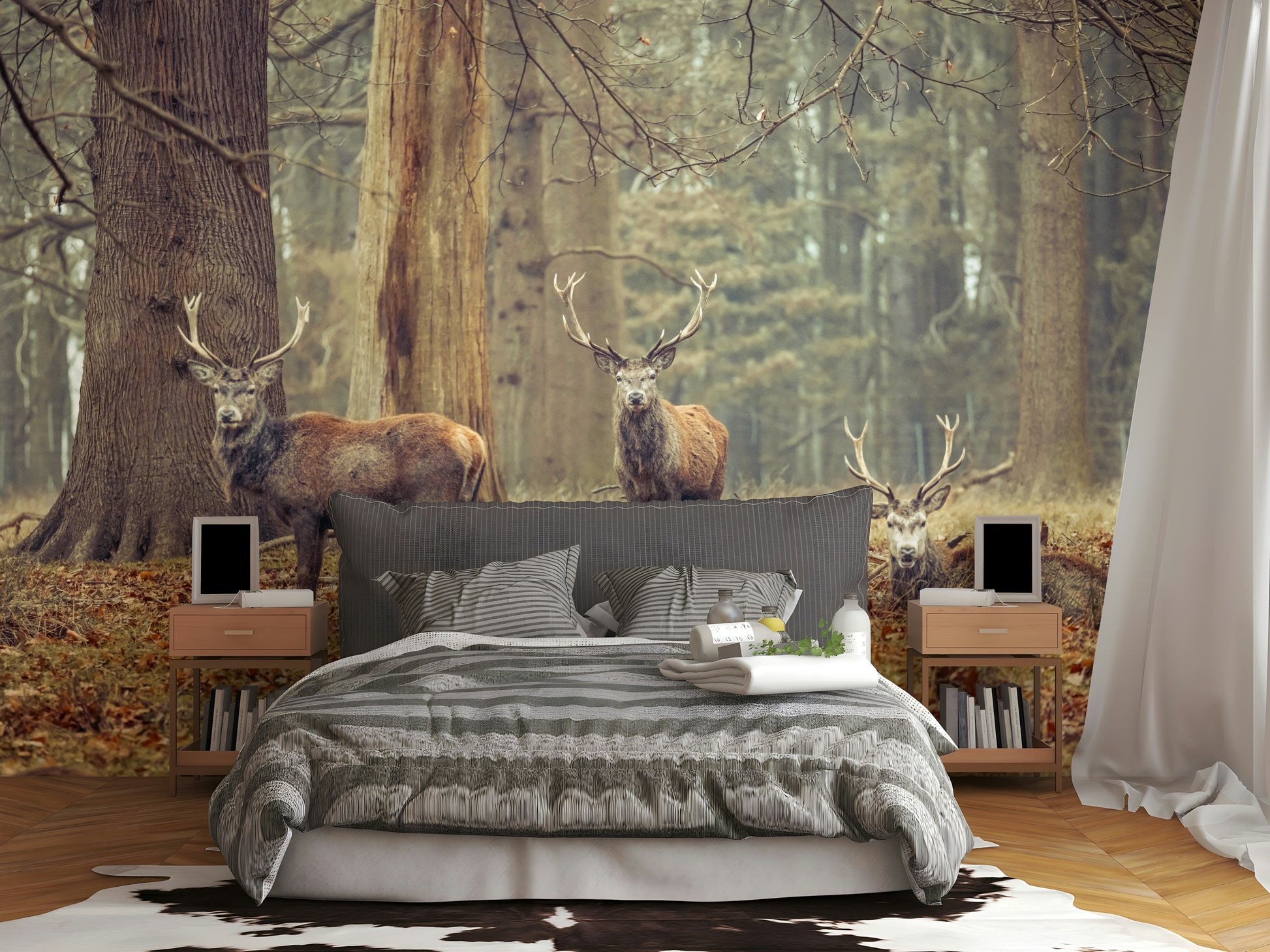 Group of deer with antlers.

