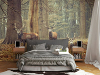 Group of deer with antlers.

