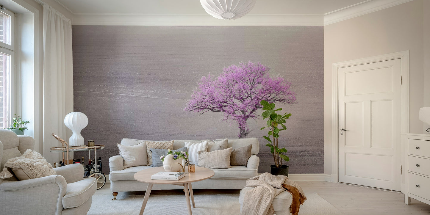 Delicate orchid flowers.

