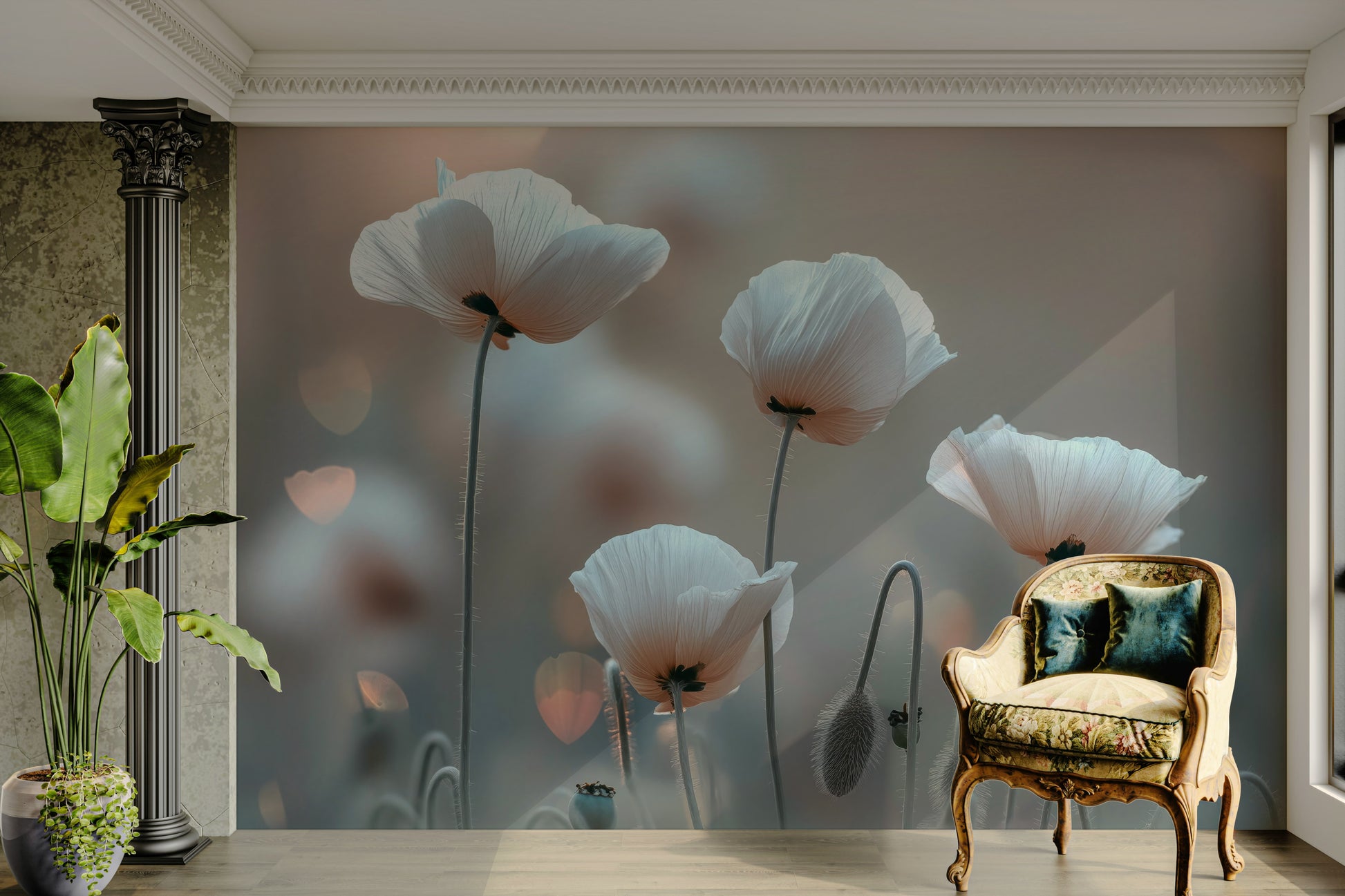 High-resolution image of white poppies in soft focus.

