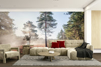 Ancient tranquility aesthetic.

