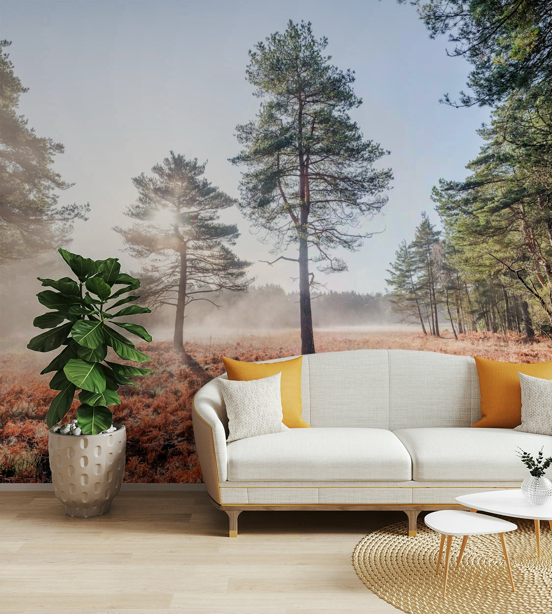 Sunlight filtering through hazy atmosphere.

