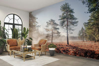 Soft, dreamlike glow.

