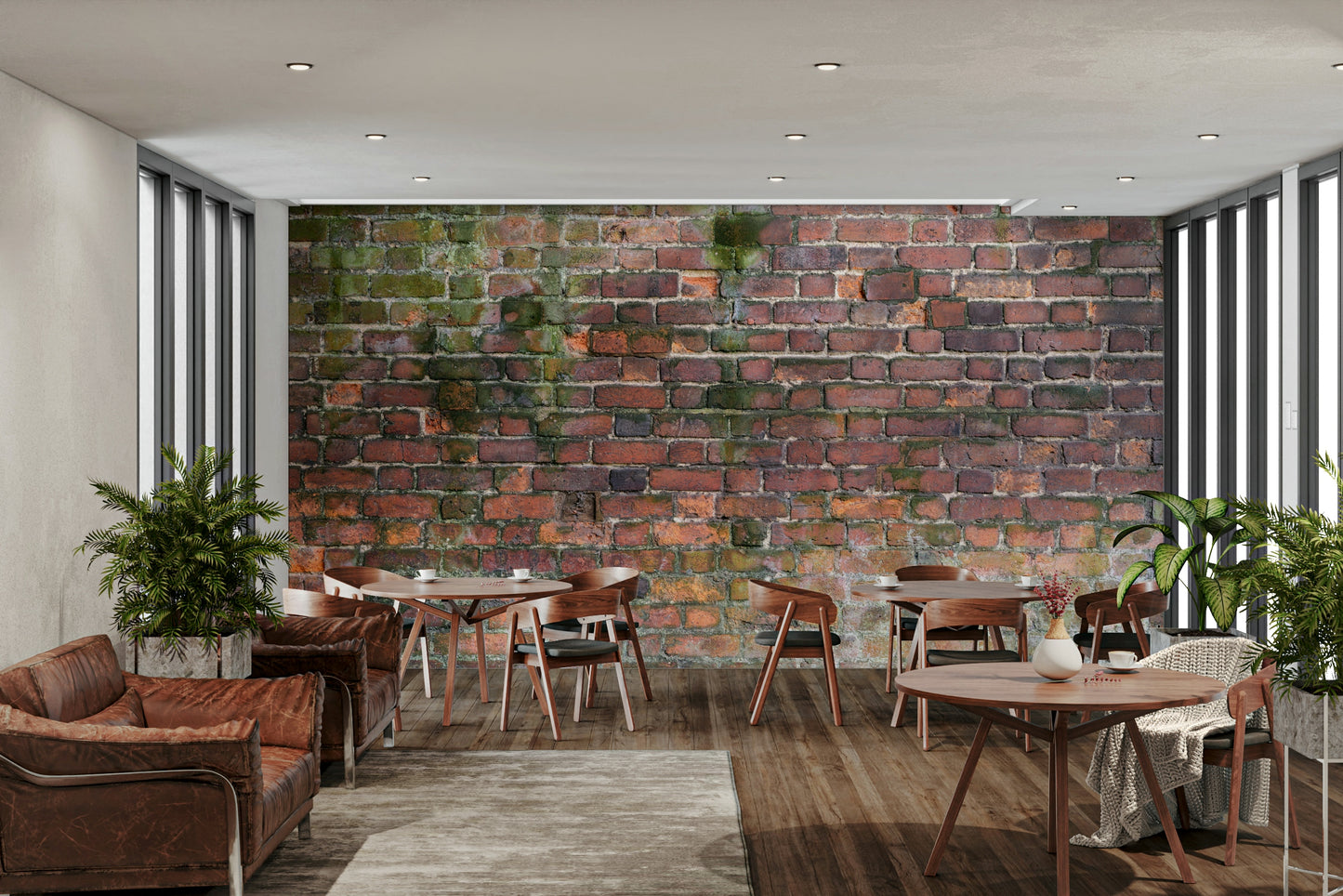 Peeling paint or textured concrete.

