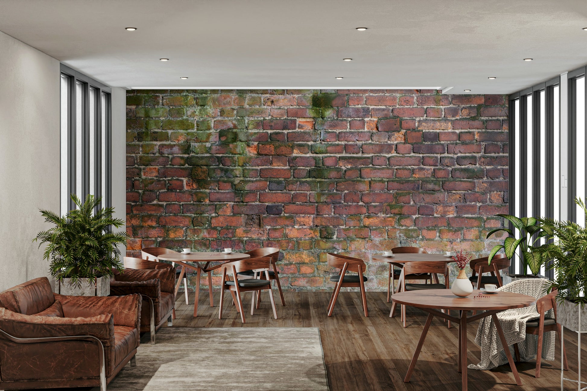 Peeling paint or textured concrete.

