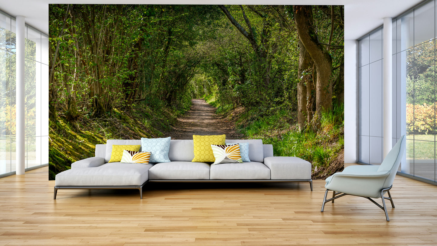 Disappearing into lush, verdant forest.

