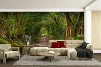 Sense of peaceful exploration.

