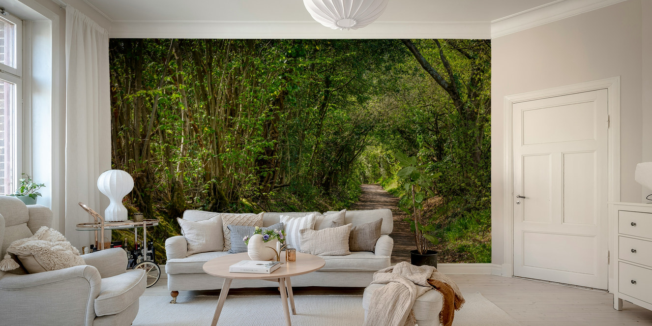 Secluded, winding pathway.

