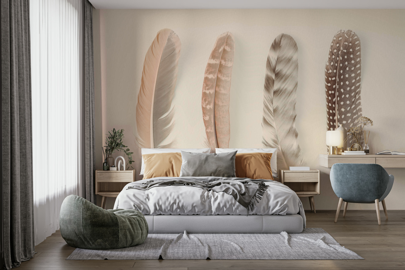 Thoughtful arrangement of various types of feathers.

