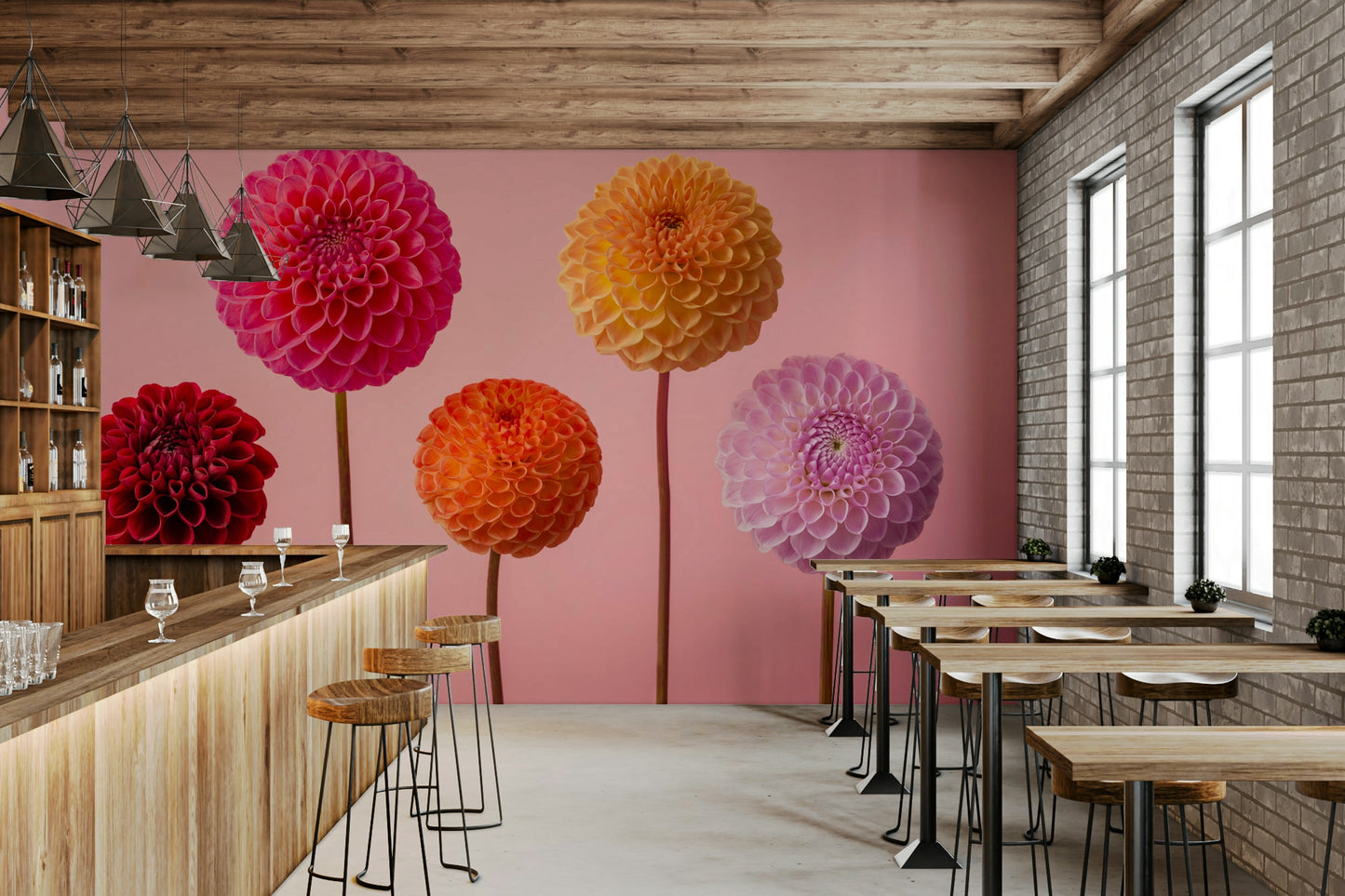 Striking display of five dahlia blooms.

