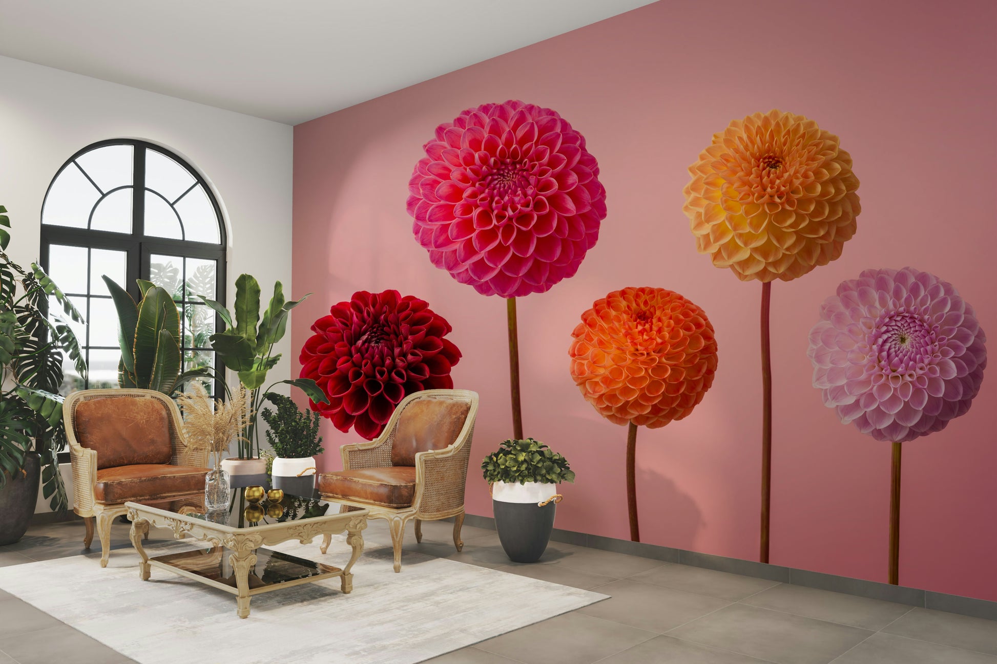 Highlights intricate petals and perfect symmetry.

