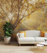 Inspiring tranquility feeling.

